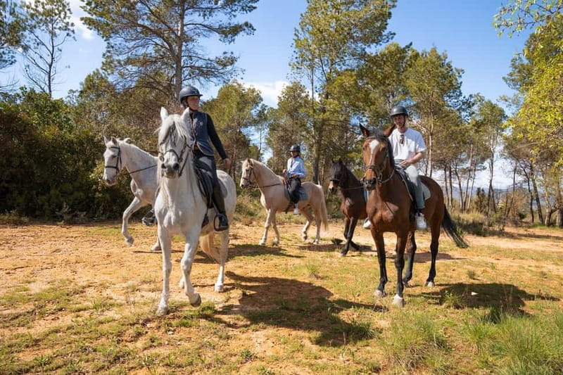 Barcelona: Walking and Horse Riding Day-Trip in Montserrat - A 50-minute walk through Montserrat National Park