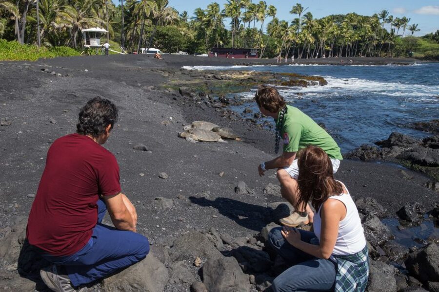 Big Island: Volcanoes, Waterfalls, & Coffee Farm Day-Trip - Why this tour covers so much ground