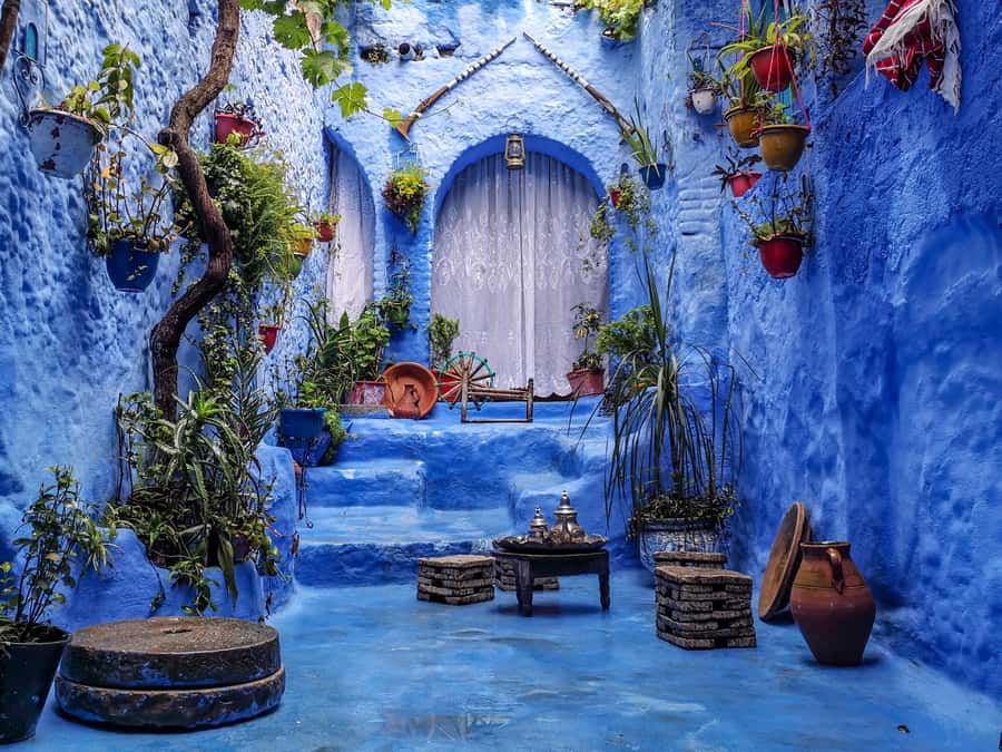 Blue City magic: Affordable Day Trip from Fez to Chefchaouen - Shopping, lunch, and free time in the medina