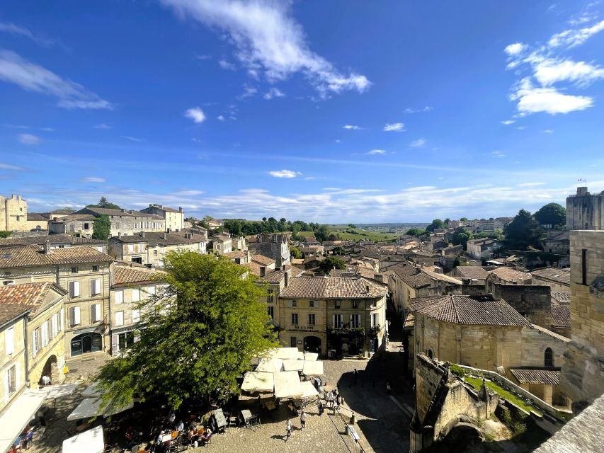 Bordeaux: Saint-Emilion Village Day Trip, 2 Chateaux & Lunch - Practical drawbacks to consider before booking