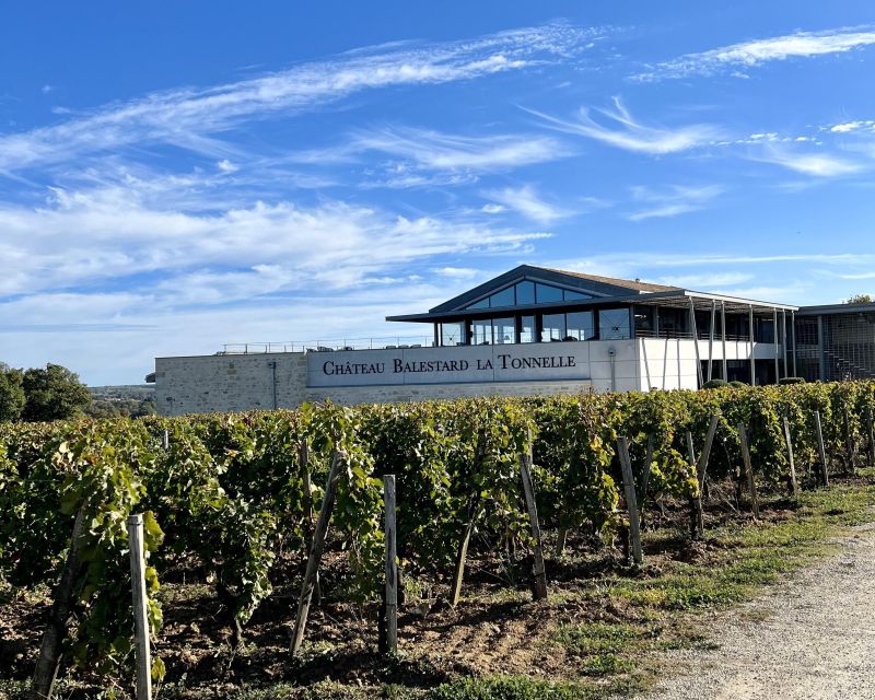 Bordeaux: Saint-Emilion Village Day Trip, 2 Chateaux & Lunch - Who should book this Bordeaux wine tour?