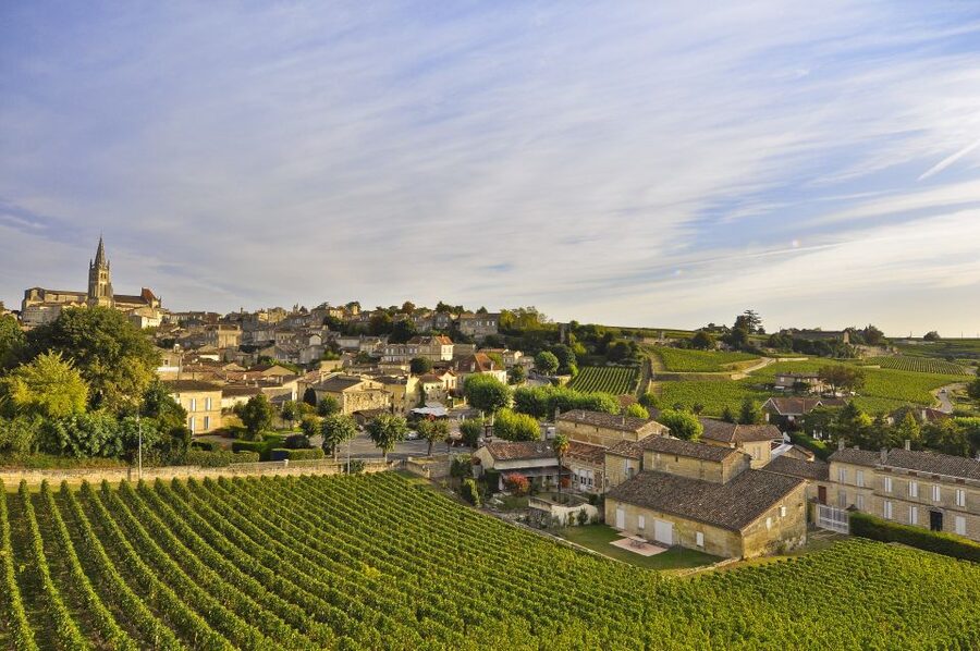 Bordeaux: Vineyards Wine Tasting Half-Day Trip - Entre-deux-Mers: a quieter side of Bordeaux