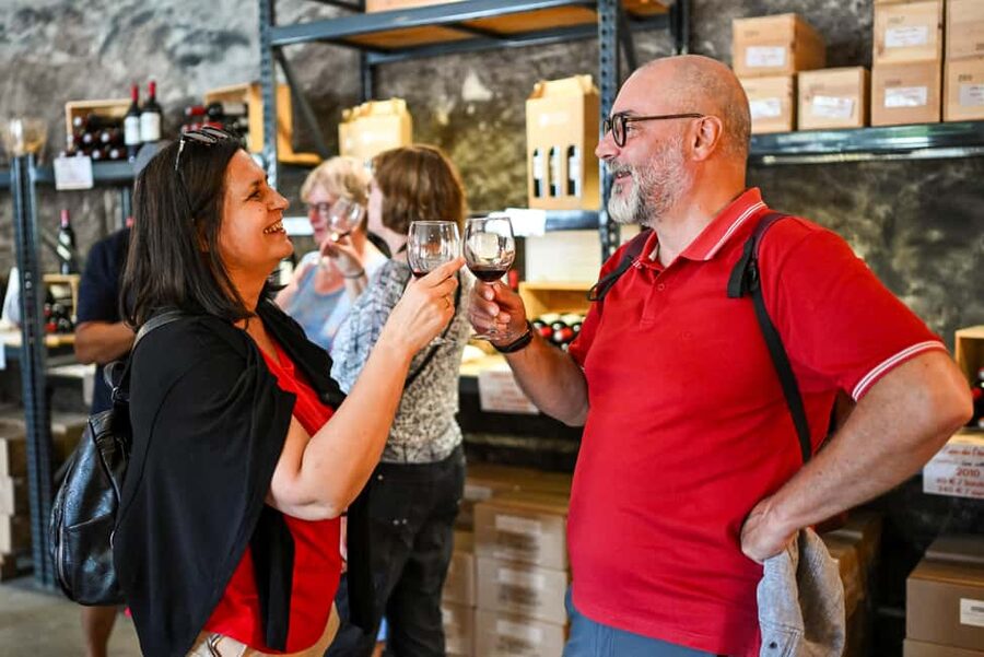 Bordeaux: Vineyards Wine Tasting Half-Day Trip - Who should book this afternoon trip?