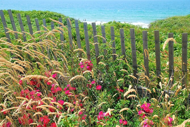 Boston to Martha's Vineyard Day Trip with Optional Island Tour - Independent exploring or guided touring?