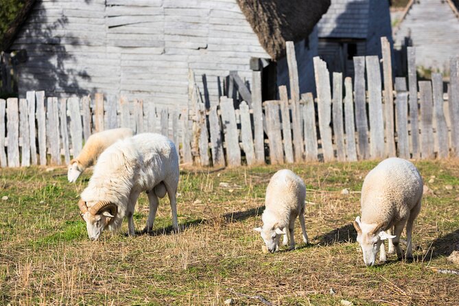 Boston to Plymouth Day-Trip including Quincy, Plimoth Patuxet and Mayflower II - What the $165 price really covers