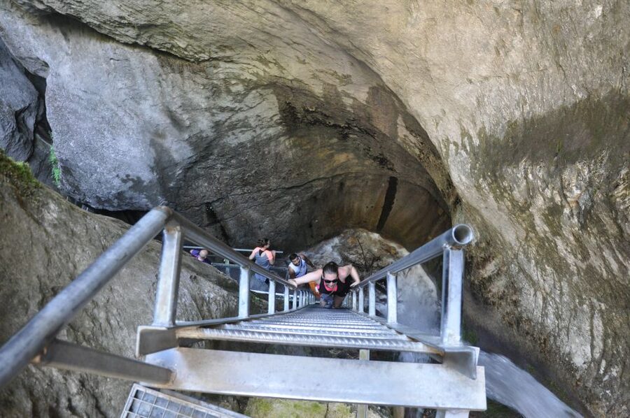 Brasov: Small-Group 7 Ladders Canyon Day Trip - Climbing the ladders beside the waterfalls