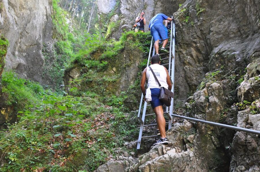 Brasov: Small-Group 7 Ladders Canyon Day Trip - The Bear Wall side trail