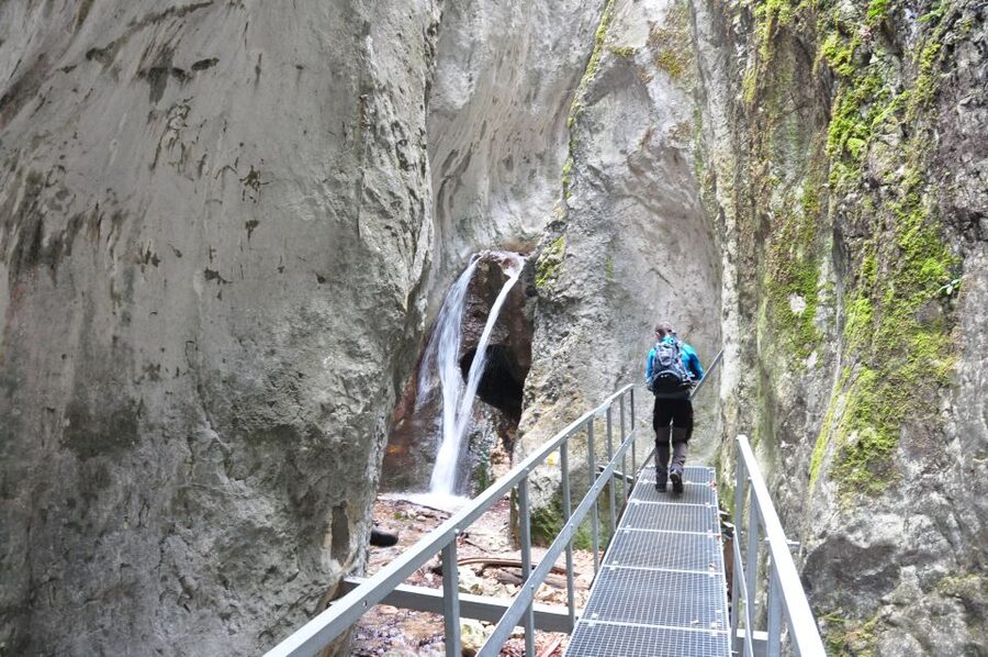 Brasov: Small-Group 7 Ladders Canyon Day Trip - Choosing the return route