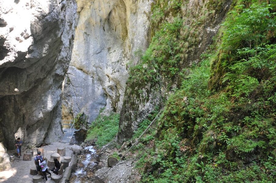 Brasov: Small-Group 7 Ladders Canyon Day Trip - Shoes, weather, and physical demands