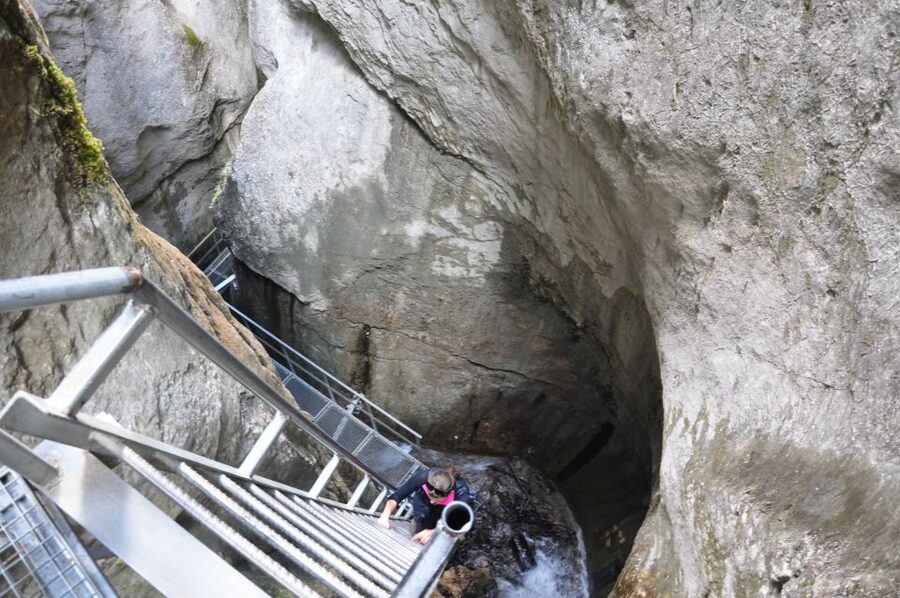 Brasov: Small-Group 7 Ladders Canyon Day Trip - From Brasov to the Piatra Mare forest