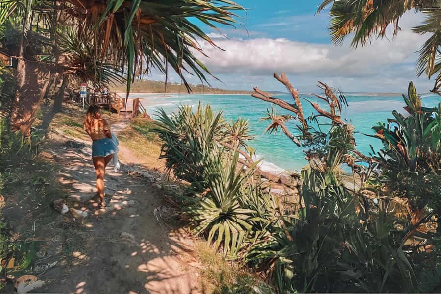 Brisbane to North Stradbroke Island Day: Wildlife & Beaches - Amity Point and the final wildlife search