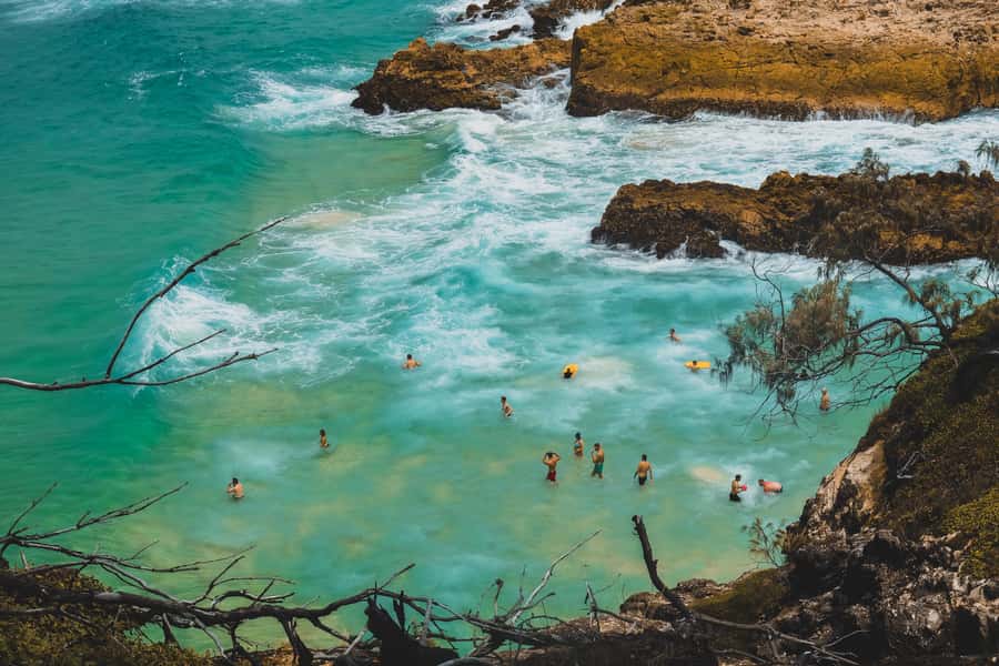 Brisbane to North Stradbroke Island Day: Wildlife & Beaches - The guides make the difference