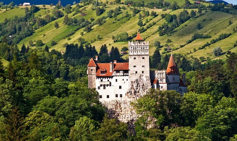 Bucharest: Day Trip to Bear Sanctuary, Bran Castle & Brasov - The Teddy Bear museum adds a gentler contrast