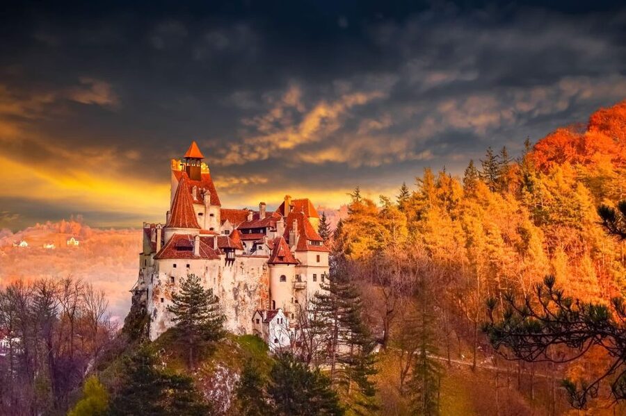Bucharest: Dracula's Castle, Peleș Castle & Brașov Day Trip - Peleș Castle in Sinaia: the day’s grandest interior