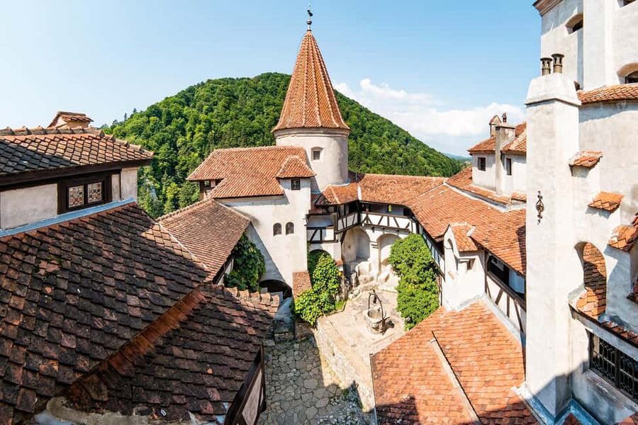 Bucharest: Peles Castle, Bran Castle & Brasov Day Trip - Should you book this Bucharest castle day trip?