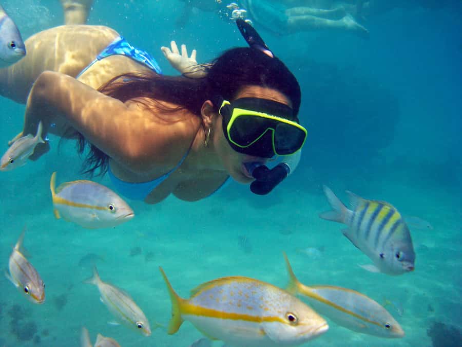 Búzios Day Trip from Rio de Janeiro - Key points before you book