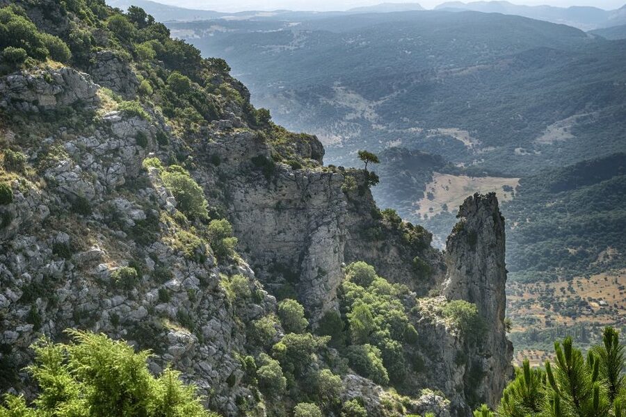 Cadiz, Jerez or El Puerto: White Towns of Andalusia Day Trip - Guides, language, and the pace of the day