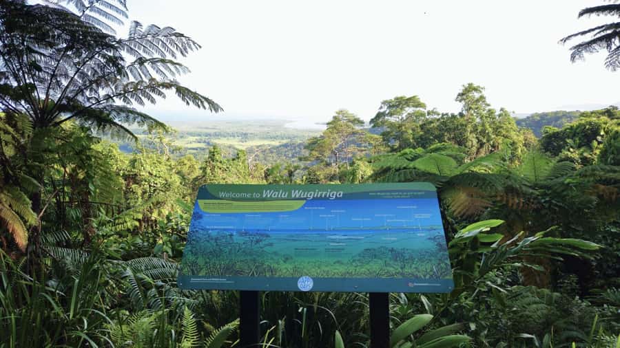 Cairns: Daintree, Mossman Gorge, & Cape Tribulation Day Trip - Key points to know before booking