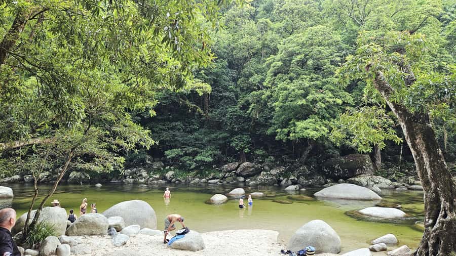 Cairns: Daintree, Mossman Gorge, & Cape Tribulation Day Trip - Cape Tribulation Beach, where forest meets reef