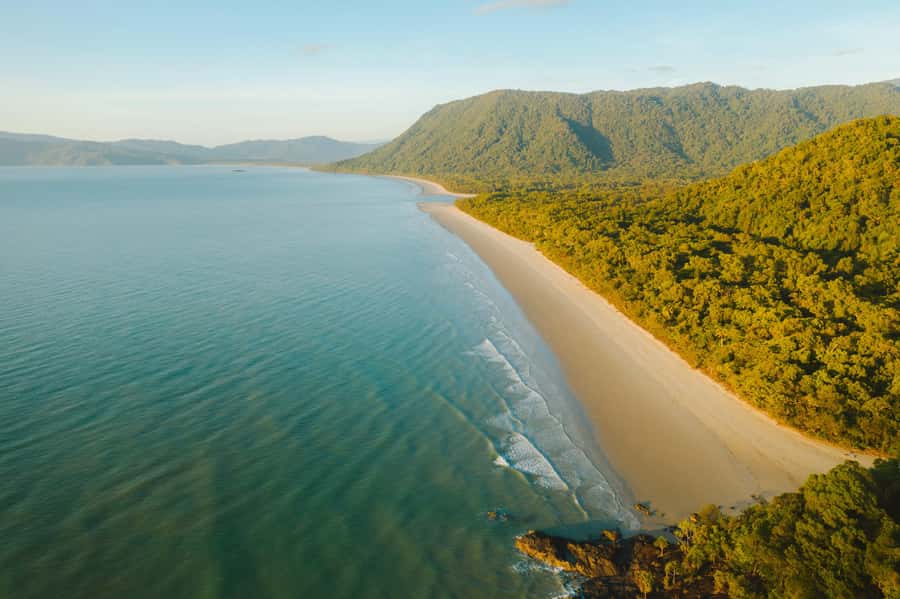 Cairns: Daintree, Mossman Gorge, & Cape Tribulation Day Trip - The coastal road to Mossman Gorge