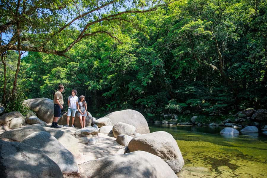 Cairns: Daintree Rainforest & Cape Tribulation Day Trip - Why this one-day Daintree trip works