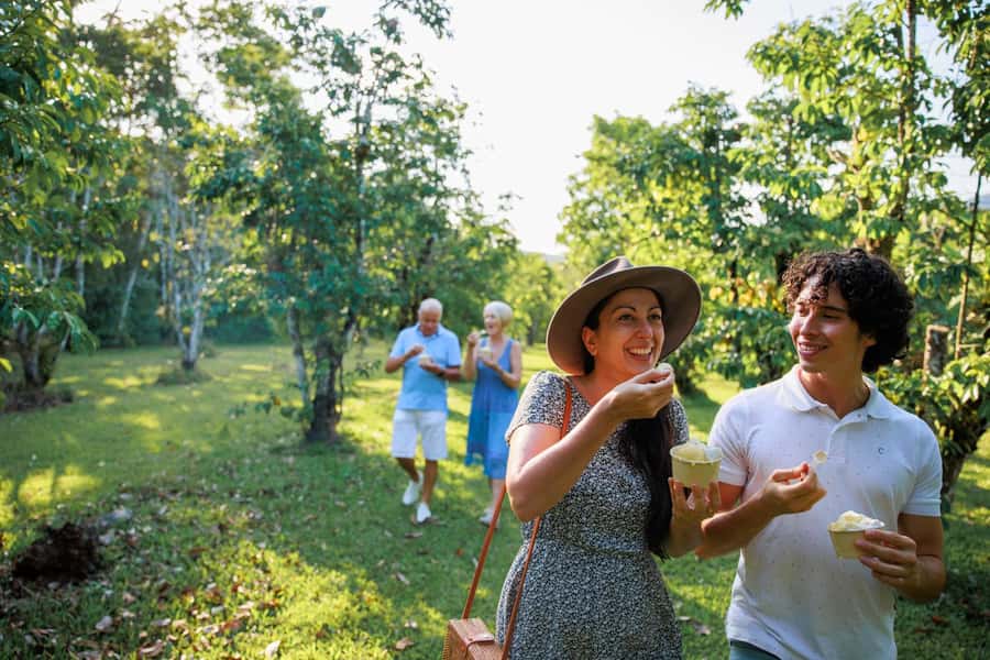 Cairns: Daintree Rainforest & Cape Tribulation Day Trip - A one-hour search for crocodiles on the Daintree River