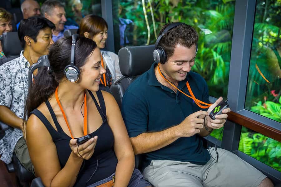 Cairns: Daintree Rainforest & Cape Tribulation Day Trip - Comfort, effort, and who should book