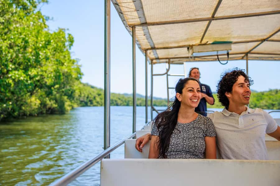 Cairns: Daintree Rainforest & Cape Tribulation Day Trip - Mossman Gorge, rainforest roots, and scones