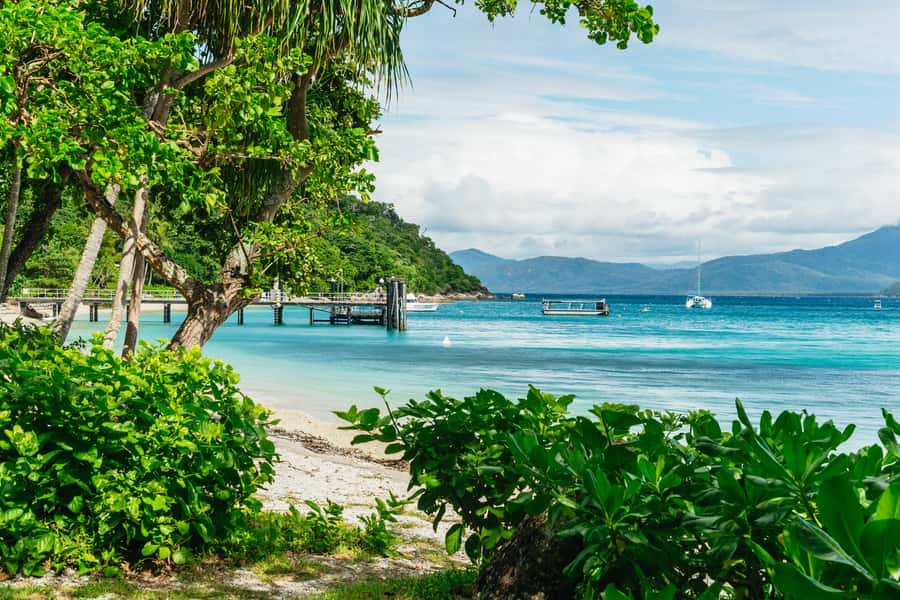 Cairns: Fitzroy Island Full-Day Trip with Optional Extras - Your first hours on Fitzroy Island