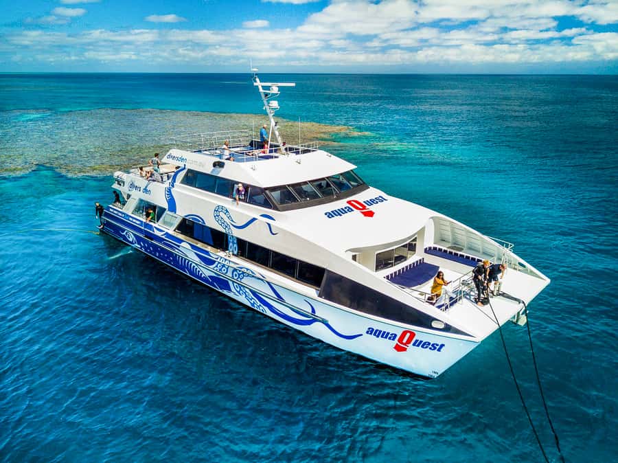 Cairns: Premium Snorkelling and Diving Reef Day Trip - Key points for your reef day