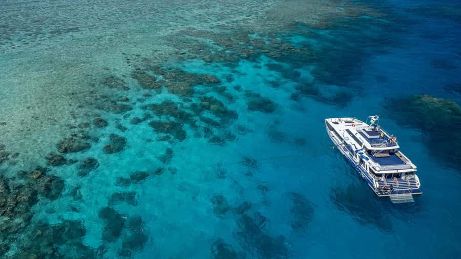 Cairns: Premium Snorkelling and Diving Reef Day Trip - Why the outer reef makes the long boat ride worthwhile