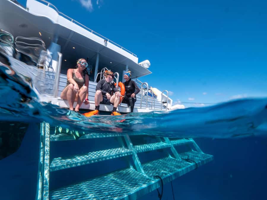 Cairns: Premium Snorkelling and Diving Reef Day Trip - Lunch, hot showers, and a second chance in the water