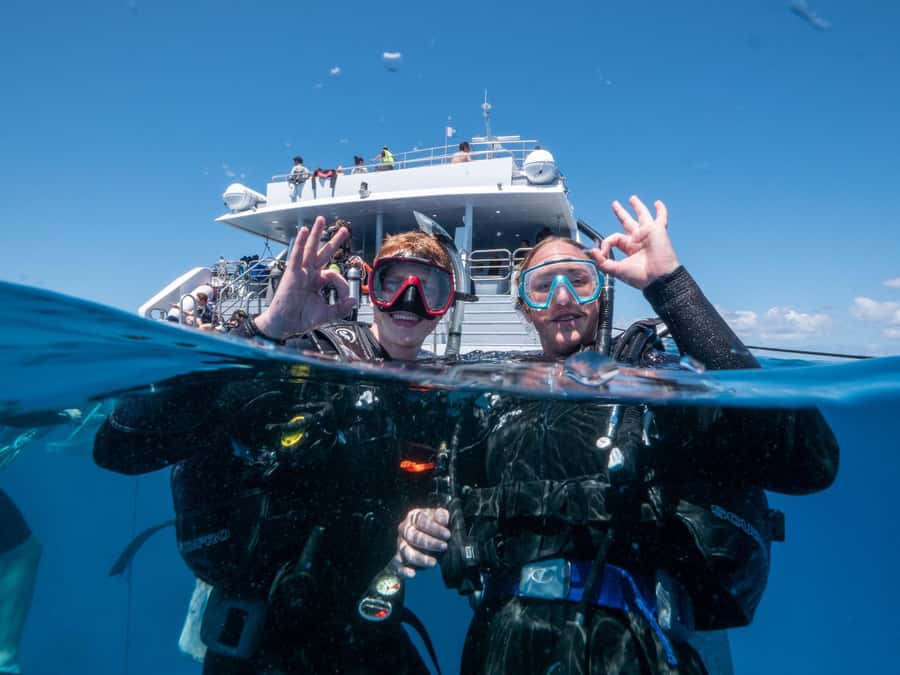 Cairns: Premium Snorkelling and Diving Reef Day Trip - Gear, comfort, and the limits of the boat
