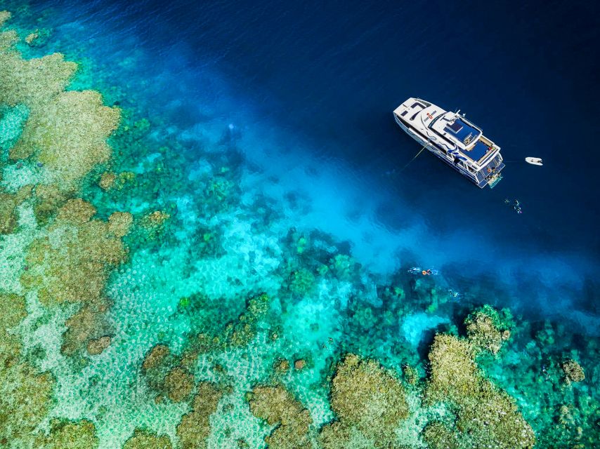 Cairns: Premium Snorkelling and Diving Reef Day Trip - Who should book this Cairns reef trip?