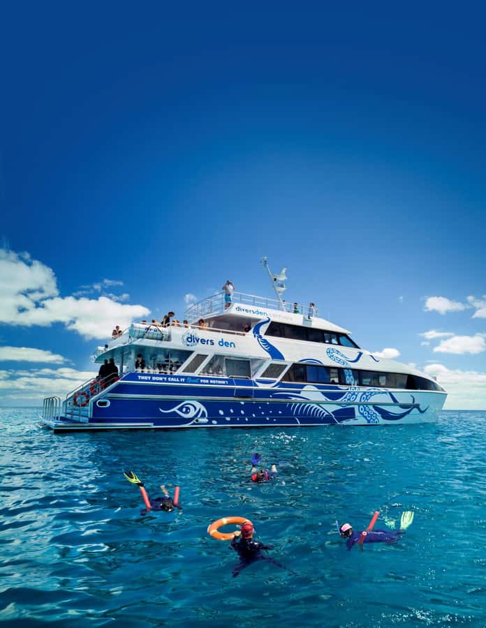 Cairns: Premium Snorkelling and Diving Reef Day Trip - 8:00 AM check-in at Cairns Marlin Marina