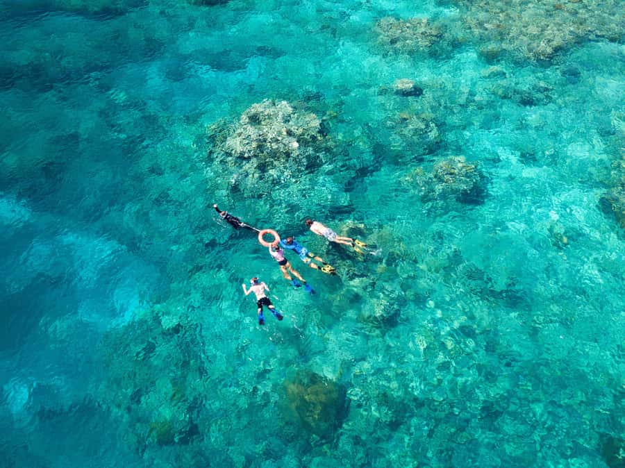 Cairns: Snorkelling and Diving Reef Day Trip - Why four hours in the water matters