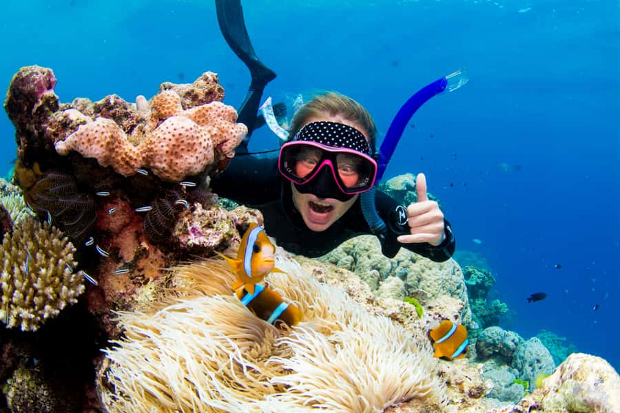 Cairns: Snorkelling and Diving Reef Day Trip - The 90-minute ride from Cairns Marina