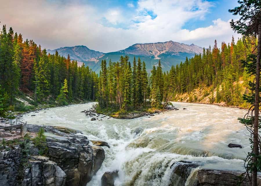 Calgary: Day Trip to Jasper with Lunch - What this Calgary to Jasper day trip is really like