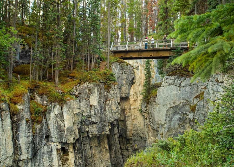 Calgary: Day Trip to Jasper with Lunch - How the guide shapes the day