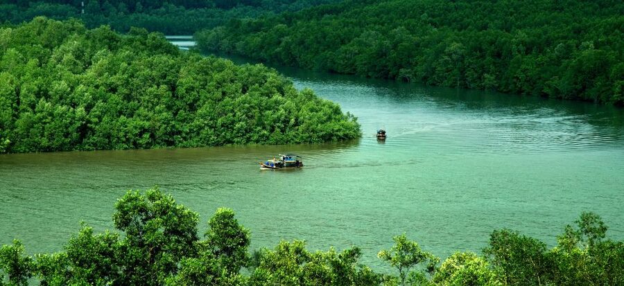 Can Gio: Discovery Vam Sat EcoPark - Can Gio Island Day Trip - Entering the Can Gio Mangrove Biosphere Reserve