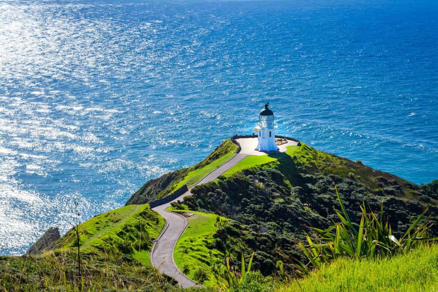 Cape Reinga: Day Trip from Paihia, Kerikeri, or Kaitaia - Key points to know before you book