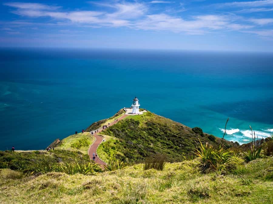 Cape Reinga: Day Trip from Paihia, Kerikeri, or Kaitaia - Why this Far North day trip is worth your time