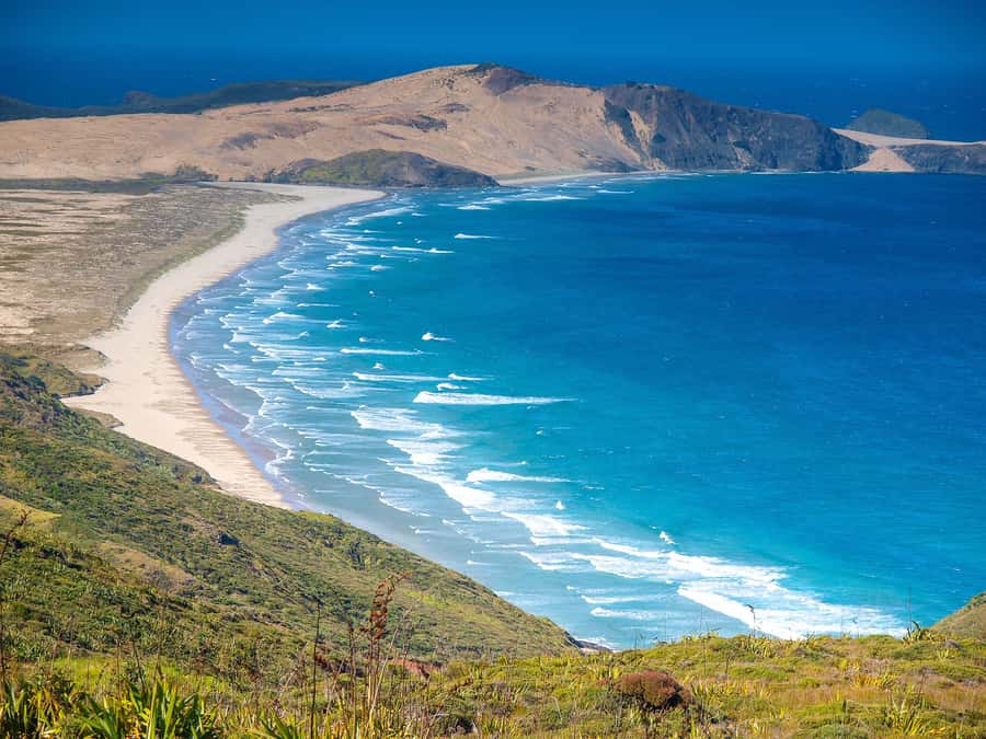 Cape Reinga: Day Trip from Paihia, Kerikeri, or Kaitaia - Walking the southern end of 90 Mile Beach