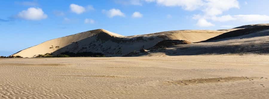 Cape Reinga: Day Trip from Paihia, Kerikeri, or Kaitaia - Cape Reinga and the meeting of two seas