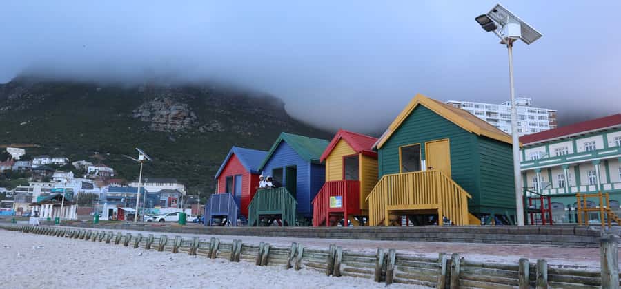 Cape Town: Cape Peninsula & Table Mountain Private Day Trip - Cape Point offers cliffs, wind, and open views