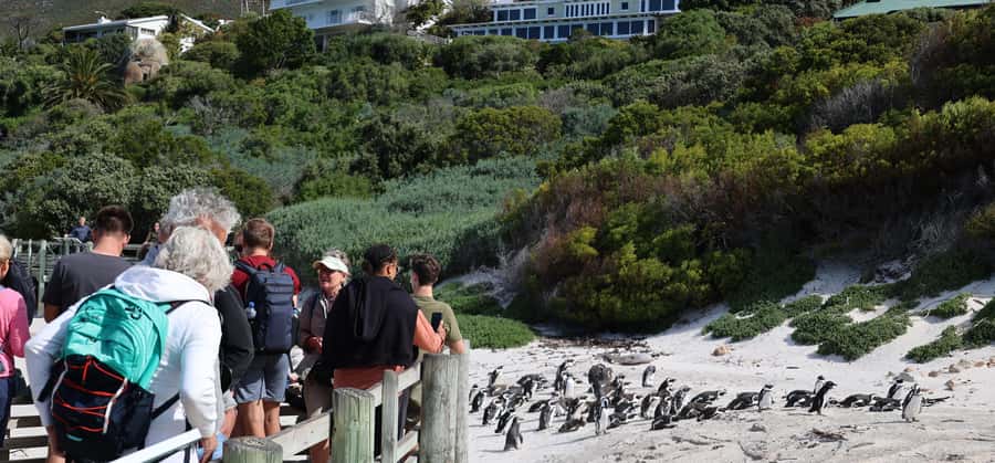 Cape Town: Cape Peninsula & Table Mountain Private Day Trip - Bo-Kaap brings colour and context