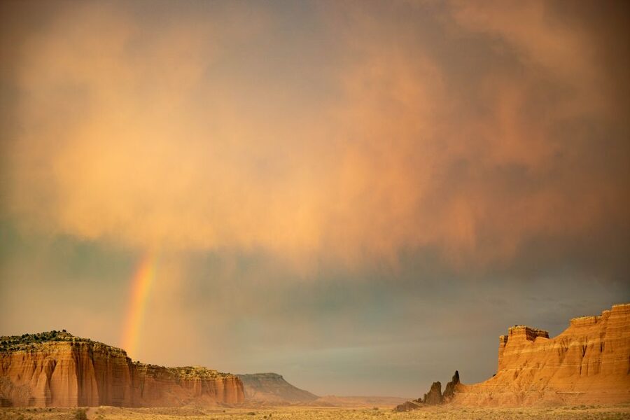 Capitol Reef National Park: Cathedral Valley Day Trip - The halfway break and optional hikes