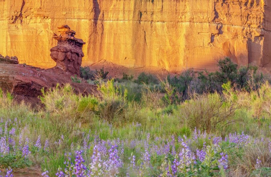 Capitol Reef National Park: Cathedral Valley Day Trip - Walls of Jericho and Morrell Cabin