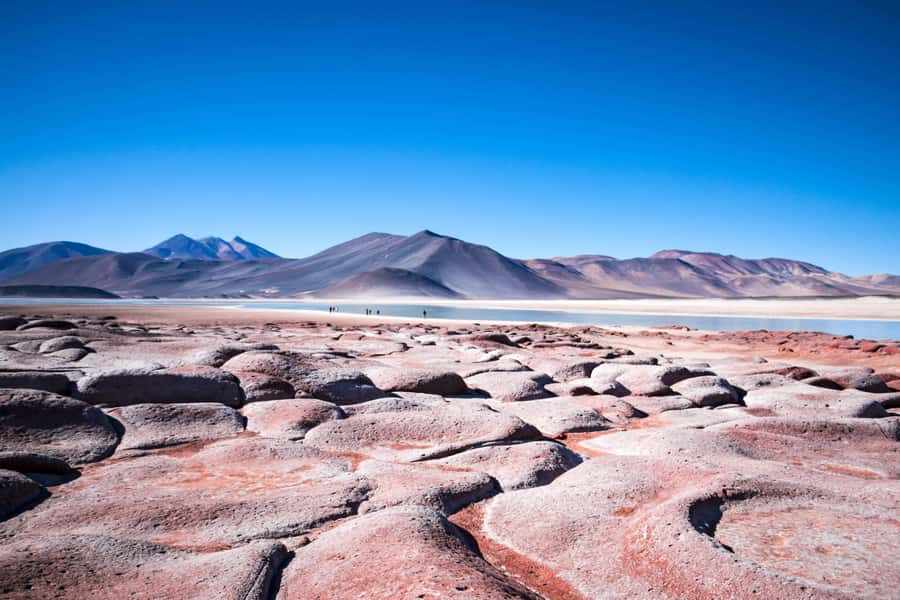 Caracoles: Red Stones of Atacama and Chaxa Guided Day Trip - Meñiques and Miscanti under the volcanoes