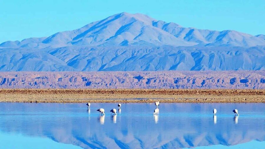 Caracoles: Red Stones of Atacama and Chaxa Guided Day Trip - Should you book the Red Stones and Chaxa trip?